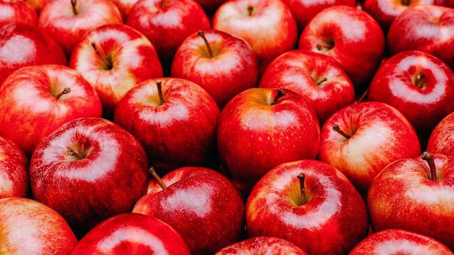 Frutas que o cachorro pode comer: maçã.