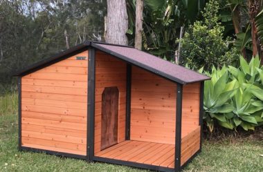 CASINHA DE CACHORRO | 4 Dicas para Construir uma